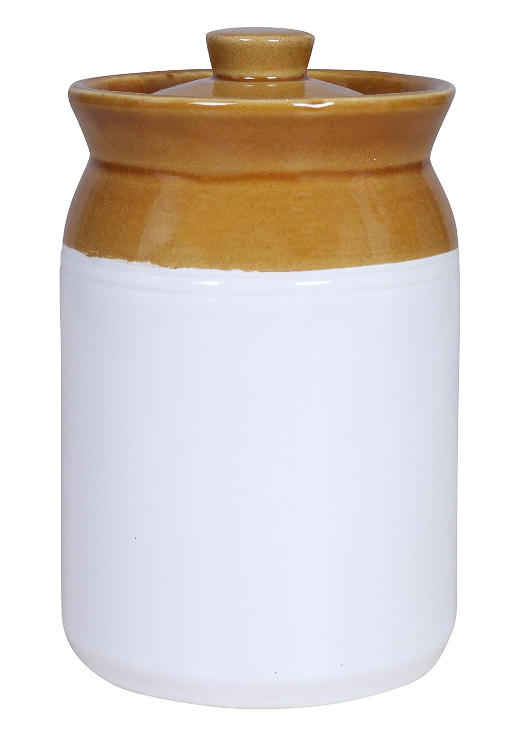 RAJ ROYAL Hand Painted Ceramic Cornichon Storage Jar for Pickle Dry items White Pottery Dry Food Storage Container Donga with Lid For Kitchen, Home - Multipurpose Storage Canister (Blue)