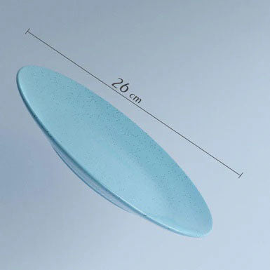 Glossy Sky Blue Matte 2 Ceramic Dinner Plate with 2 Vegetable Bowl