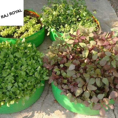 "Raj Royal Heavy Duty HDPE UV Stabilized Plant Grow Bags 24 x 9 inch, 260 GSM Strong, Home Gardening / Terrace And Balcony Gardening Leafy Vegetable Planting Pots, Plant Bags (Pack of 5)"