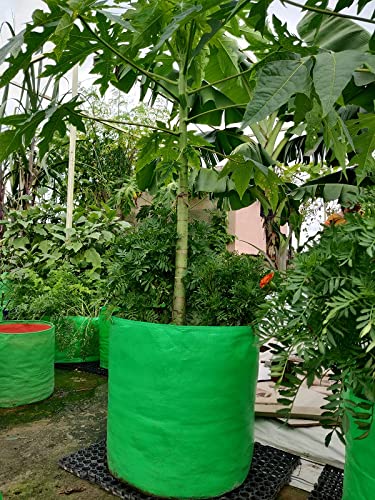 "Raj Royal Heavy Duty HDPE UV Stabilized Plant Grow Bags 9x9 inch, 260 GSM Strong, Home Gardening / Terrace And Balcony Gardening Leafy Vegetable Planting Pots, Plant Bags (Pack of 10)"