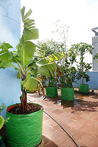"Raj Royal Heavy Duty HDPE UV Stabilized Plant Grow Bags 12 x 12 inch, 260 GSM Strong, Home Gardening / Terrace And Balcony Gardening Leafy Vegetable Planting Pots, Plant Bags (Pack of 10)"