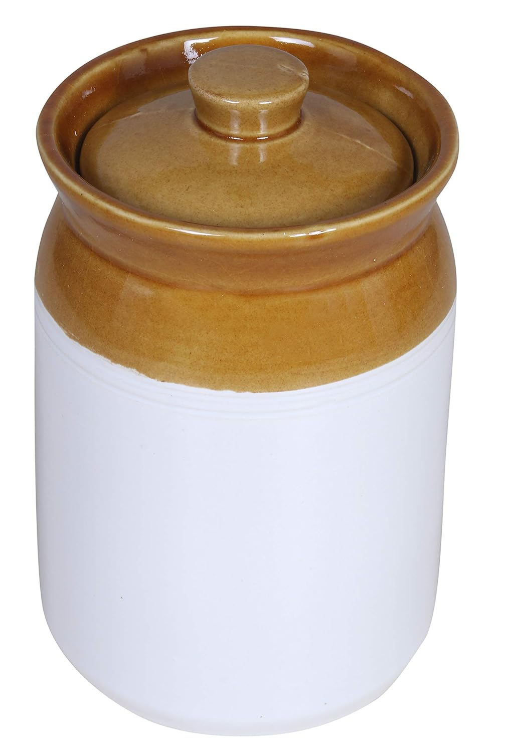 RAJ ROYAL Hand Painted Ceramic Cornichon Storage Jar for Pickle Dry items White Pottery Dry Food Storage Container Donga with Lid For Kitchen, Home - Multipurpose Storage Canister (Blue)