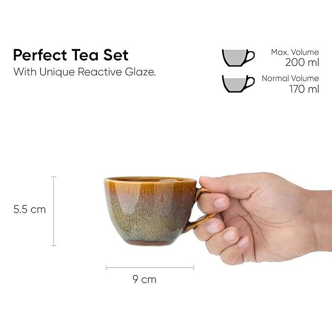 Raj Royal Stylish Print Ceramic Tea/Coffee Cups Set of 6 with 2 Snack Bowl (350ML)