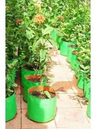 "Raj Royal Heavy Duty HDPE UV Stabilized Plant Grow Bags 24 x 9 inch, 260 GSM Strong,  Home Gardening / Terrace And Balcony Gardening Leafy Vegetable Planting Pots, Plant Bags  (Pack of 5)"