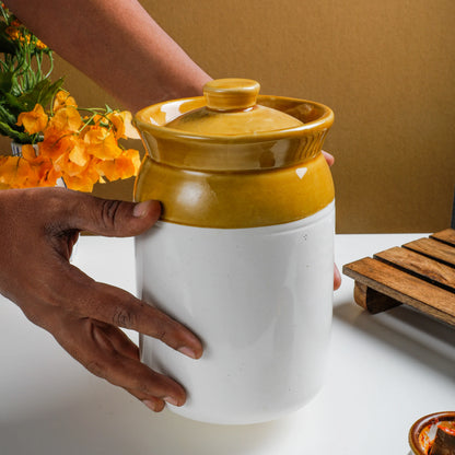 RAJ ROYAL Ceramic Pottery Hand Painted Cornichon Crockery Pulses Dry Fruit Tea Pickle Coffee Multipurpose Food Storage Jar Container with Lid For Kitchen Home