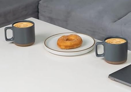 RAJ ROYAL Ceramic Mugs 250ml - Coffee/Tea Mugs - Microwave, Dishwasher Safe Tea Cups for Daily Use & Party (Set of 2 Cups)