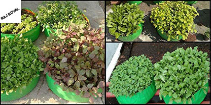 "Raj Royal Heavy Duty HDPE UV Stabilized Plant Grow Bags 24 x 9 inch, 260 GSM Strong,  Home Gardening / Terrace And Balcony Gardening Leafy Vegetable Planting Pots, Plant Bags  (Pack of 5)"