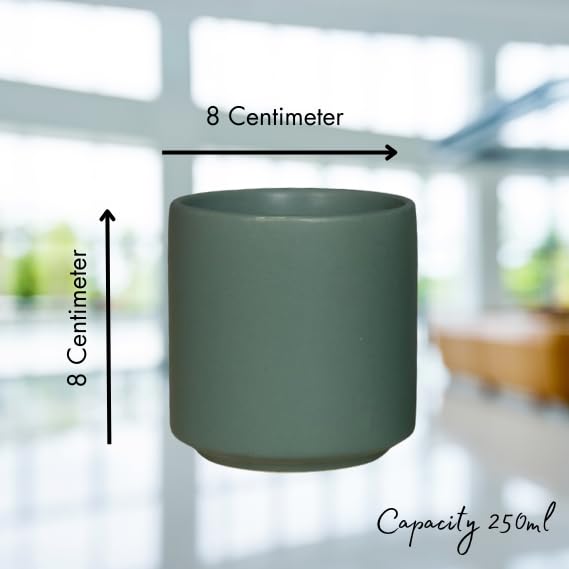 RAJ ROYAL Ceramic Mugs 250ml - Coffee/Tea Mugs - Microwave, Dishwasher Safe Tea Cups for Daily Use & Party (Set of 2 Cups)