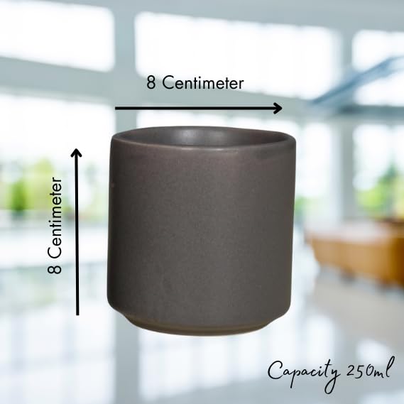 RAJ ROYAL Ceramic Mugs 250ml - Coffee/Tea Mugs - Microwave, Dishwasher Safe Tea Cups for Daily Use & Party (Set of 2 Cups)