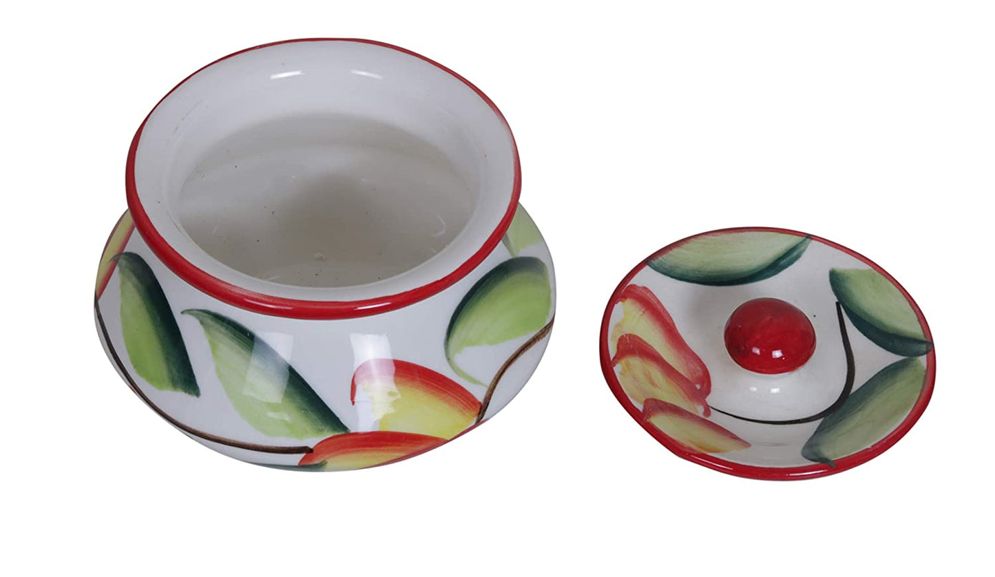 RAJ ROYAL Ceramic Food Storage Container Dahi Handi with lid Set of 4 Storage Canister (Multicolour)