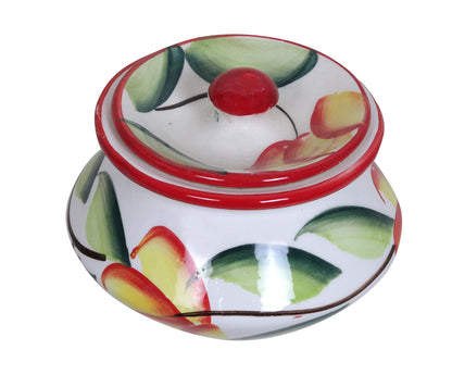 RAJ ROYAL Ceramic Food Storage Container Dahi Handi with lid Set of 4 Storage Canister (Multicolour)