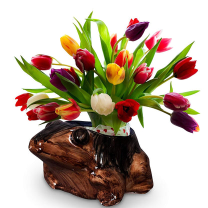 RAJ ROYAL Handcrafted Ceramic Frog Shape Flower Vase